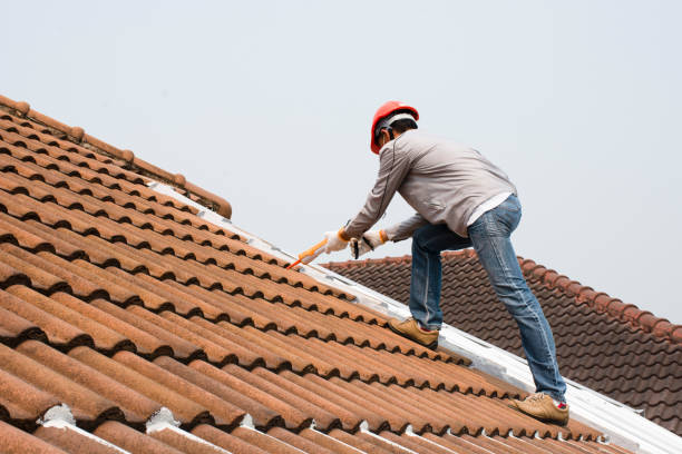 Best Roof Maintenance  in Woodlake, VA