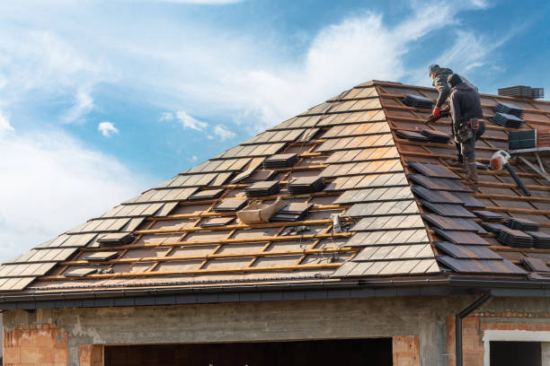 Best Roof Maintenance and Cleaning  in Woodlake, VA